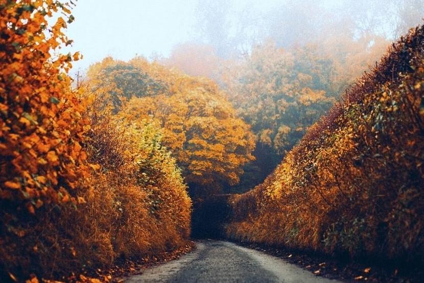 Autumn Travel Bucket List 1